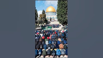 قَدْ أَفْلَحَ الْمُؤْمِنُونَ #آيات #المؤمنون #ماهر_المعيقلي
