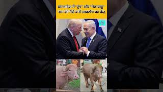 भैंसों के नाम पर छिड़ी चर्चा, सोशल मीडिया पर Viral हुआ Video