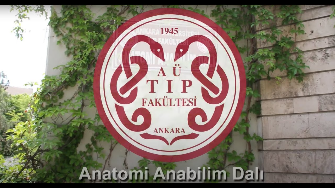Anatomi Anabilim Dalı Tanıtım Videosu