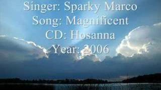 Video thumbnail of "Track 11 - Magnificent - Hosanna"