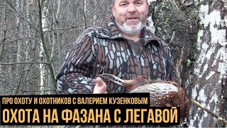 Охота на фазана с легавой / Про охоту и охотников с Валерием Кузенковым. Сезон 1