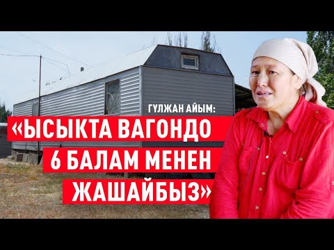 «Ысыкта вагондо 6 балам менен жашайбыз» дейт Гүлжан айым