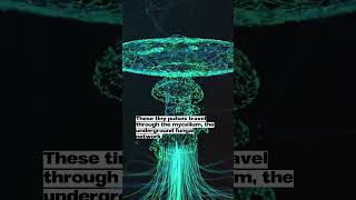 Are Fungi Smarter Than We Think #Fungi #NatureIsSmart #MindBlowingFacts #ScienceShorts #SmartFungi