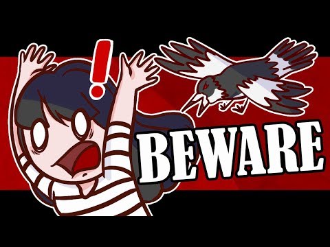 AMBUSHED BY THE AUSTRALIAN WILDLIFE