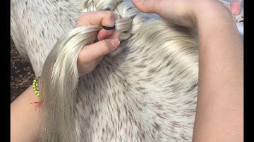 How to “Horse Braiding “ Tutorial ( Dutch French Braid )