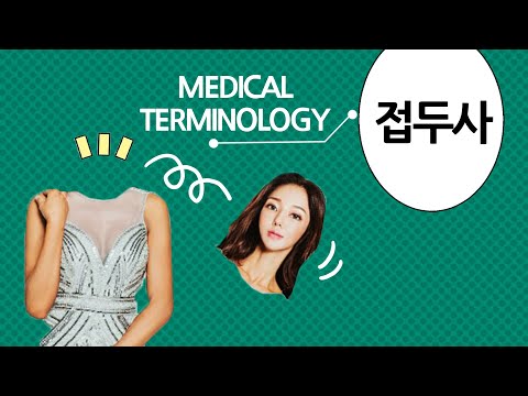 의학용어 - Medical Terminology 접두사