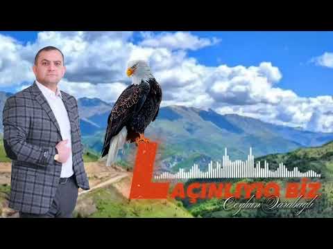 Ceyhun Qarabağlı - Laçınlıyıq Biz (Official Audio)