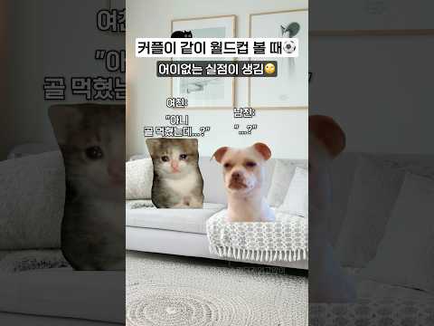 커플이 같이 월드컵 볼 때ㅋㅋ