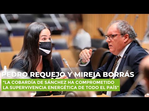 Mireia Borrás: “La cobardía de Sánchez ha comprometido la supervivencia energética de todo el país”