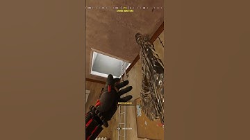 They Thought They Could Hide