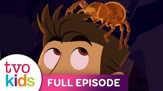 WILD KRATTS  Creepy Creatures!  Part 2  Full Episode