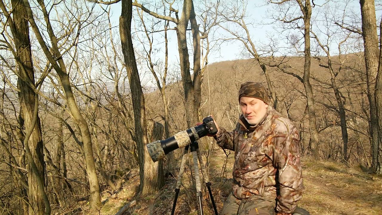 Egy vadfotós naplói - ötödik rész (A Pilis hegység)