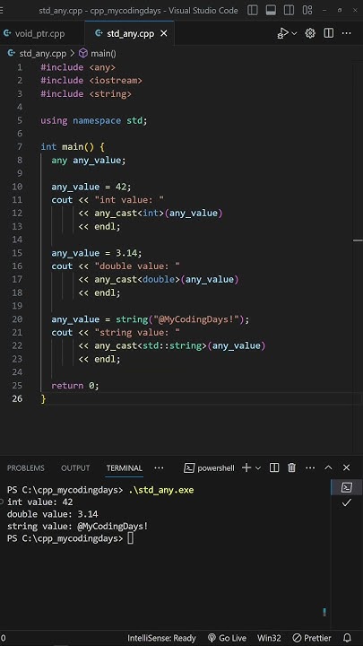 Dynamic typing in C++ programming language - YouTube
