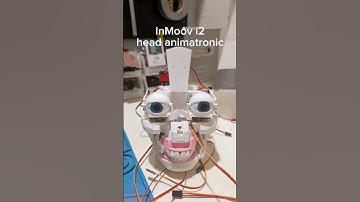 InMoov i2 Animatronic Head.