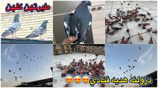 اول مطيار صحيح للحباري😍😍دزو هديه للقناه 😱😱مفاجئه فوووول😳😳😳