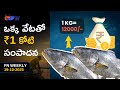 FN WEEKLY : AP Farmers Warned:Find Certified Hatcheries! Giant Fish Sold in Odisha, Omega-3 Power