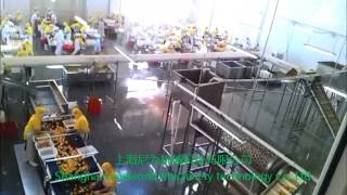 Celebrity Raw material picking line Wealth