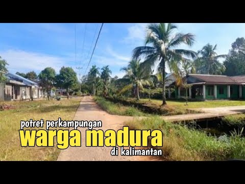 Potret Perkampungan warga Madura di Kalimantan