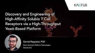 Discovery and Engineering of Soluble T Cell Receptors via a High-Throughput Yeast-Based Platform