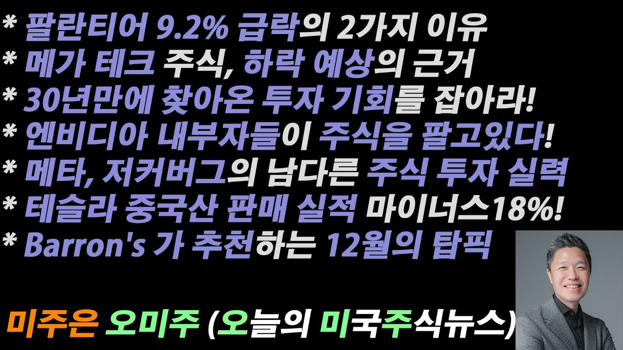 [오늘의 미국주식뉴스] 팔란티어 9% 급락 이유 / 테슬라 중국산 판매, 전년 대비 18% 감소 / 엔비디아 내부자들이 주식을 팔고  있다 / 30년만에 찾아온 투자 기회를 잡아라