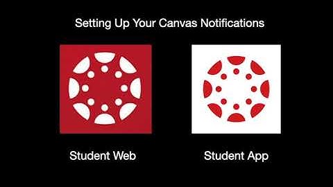 Canvas notification settings