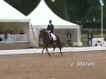 Dressage horses