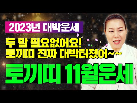 2023년 양력11월 토끼띠운세 두 말 필요없어요 토끼띠 진짜 대박터졌어 인천용한점집 청화신당 