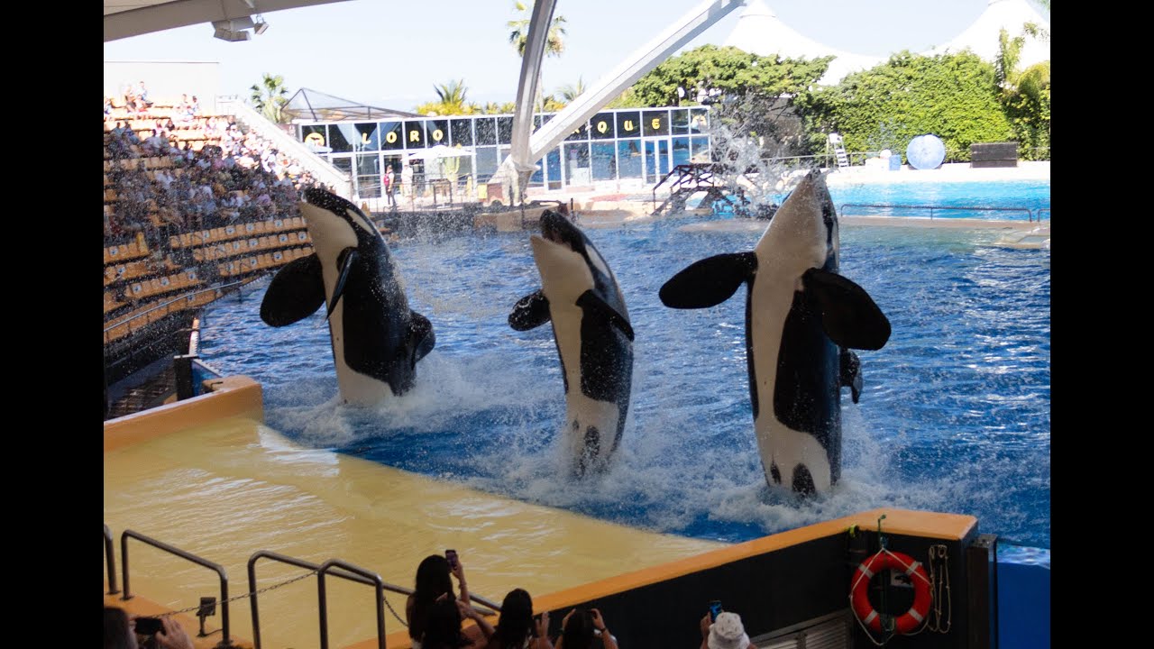 Loro Park (Loro Parque)