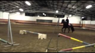 VID 20131112 WA0002