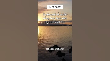 Ba câu nói hay về sống hay bạn nên đọc nó một lần… #subscribe #shorts #life