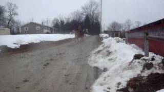 MOV05184.MPG