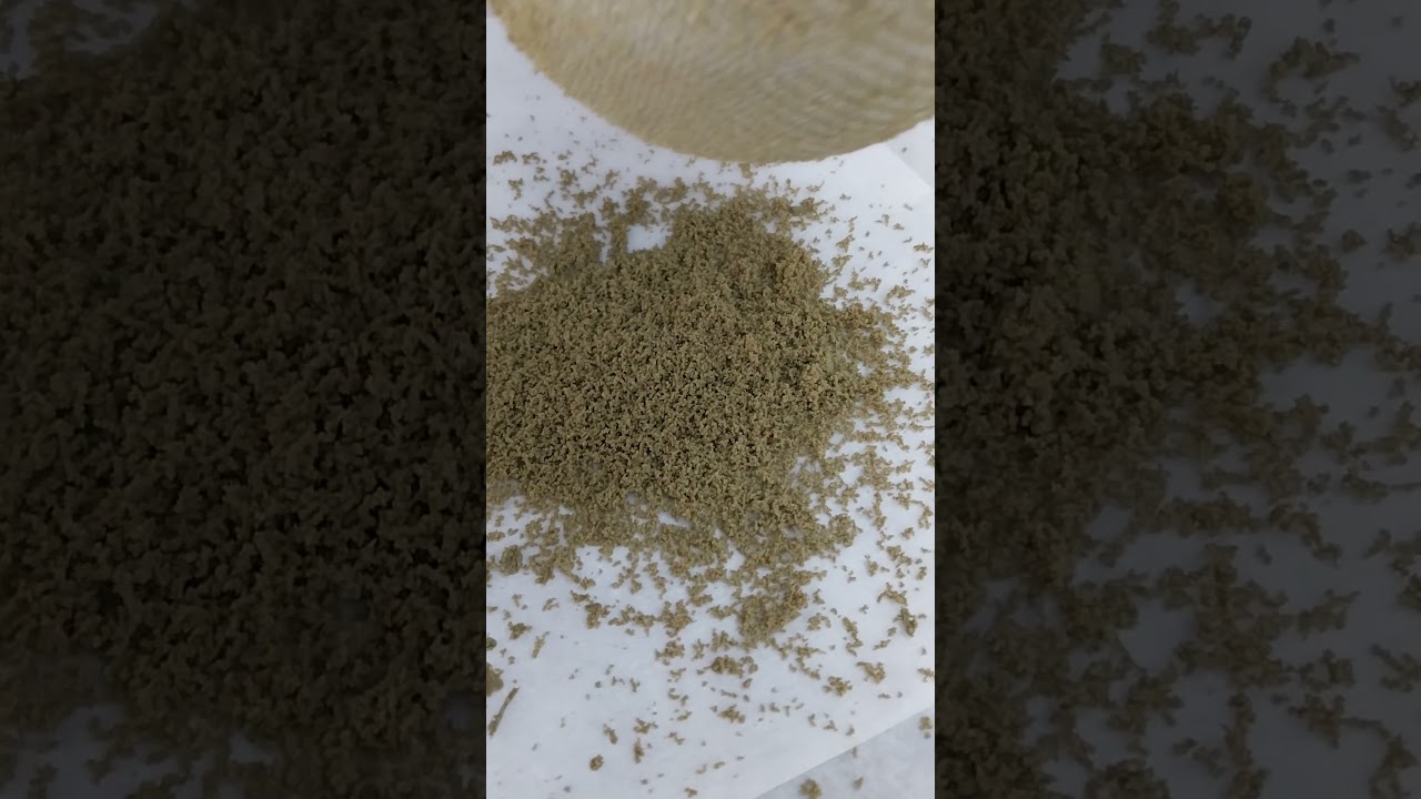 Drying Ice Water Hash in North Thailand