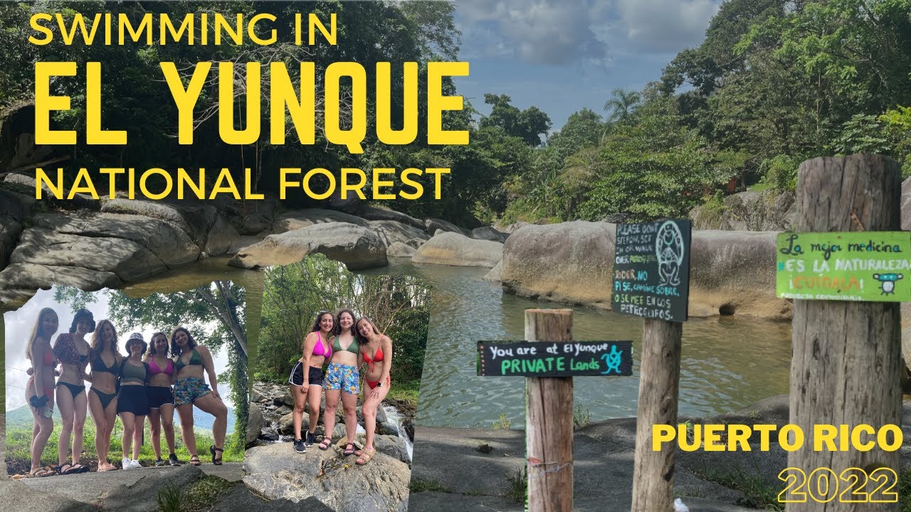 Swimming in El Yunque National Forest PR 2022 YouTube