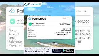 Palmcredit 0819 A Ginseng video 1200