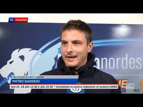 TNE PADOVA TG | 26/11/2025