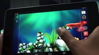 ▶ Arowana Live Wall Paper Demo   YouTube 720p screenshot 5