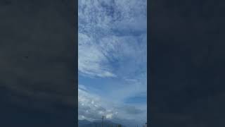 Mardin Guvercini Istanbul Guvercjni Izmir Guvercini Sebab Teppeli Angut Ayna K