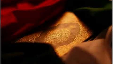 تلاوه من سورة نوح -الشيخ ثامر العامر.flv