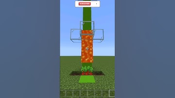 The Beetroot Logic #minecraft #shorts #gaming