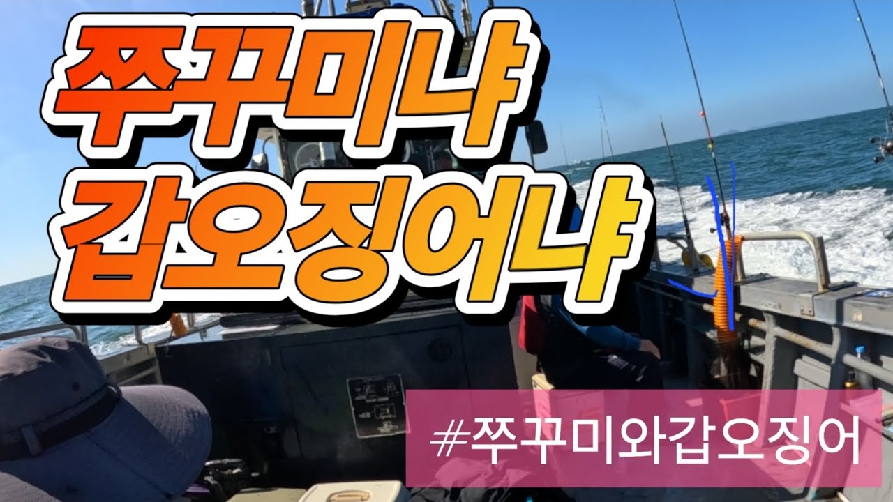 쭈꾸미낚시 갑오징어낚시 바다낚시 배낚시 낚시꾼 브이로그