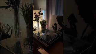 Luis miguel has 0 Missed #music  #recordplayer #records #recordplayers #turntable #vinyl #vinyleyezz