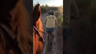 Yosemite has Horsetail Falls. San Diego has Stella’s Firefall forelock. #firefall #mtb #goldenhour