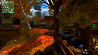 CynTax QarMa: My first Liberation clip