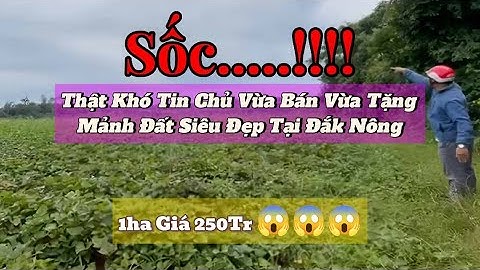 Giá Chấn Động! Bán Đất 6ha Đắk Nông Chỉ 1 Tỷ 500 - Đừng Bỏ Qua Cơ Hội Này! Đất Đắk Nông