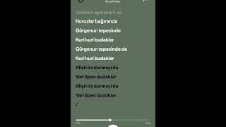 Resul Dindar Gümüşhane Kızları Resimi