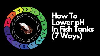 How To Lower pH In Aquariums (7 Ways) ‍