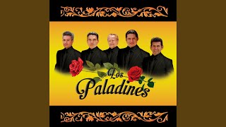 Video thumbnail of "Los Paladines - Mis Noches Sin Ti"