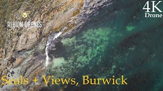 Burwick, South Ronaldsay, Seals and Views - DJI MINI3 Pro 4K - June 2023