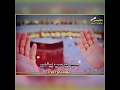 Haji Imdadullah Phulpoto New Naat 2020 Haji Imdadullah Phulpoto New Naat 2020