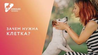 Зачем нужна клетка?